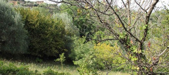  Land in Volterra, Italy No. 334414 19