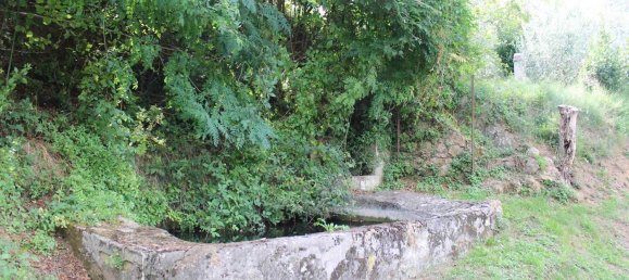  Land in Volterra, Italy No. 334414 6