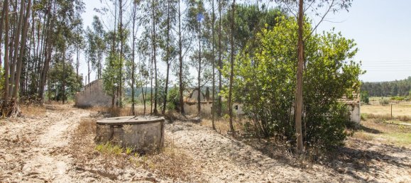 1 bedroom House in Coruche, Portugal No. 176818 6