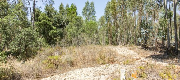 1 bedroom House in Coruche, Portugal No. 176818 16