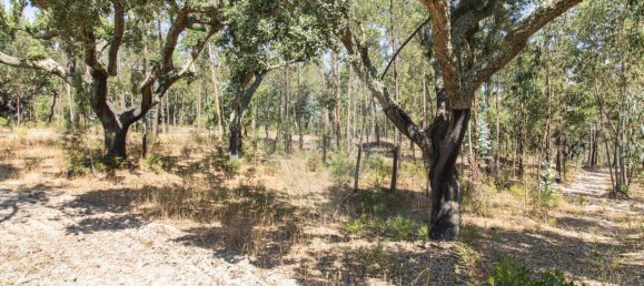 1 bedroom House in Coruche, Portugal No. 176818 12