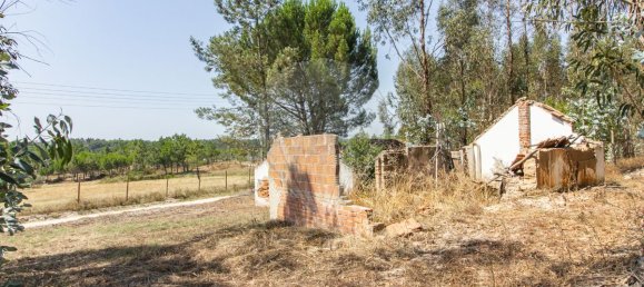 1 bedroom House in Coruche, Portugal No. 176818 18