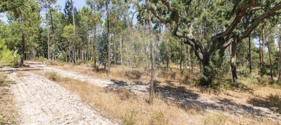 1 bedroom House in Coruche, Portugal No. 176818 11