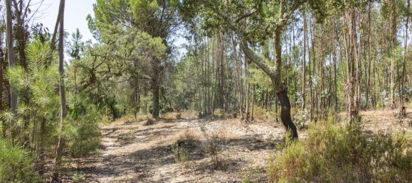 1 bedroom House in Coruche, Portugal No. 176818 15