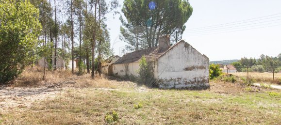 1 bedroom House in Coruche, Portugal No. 176818 7