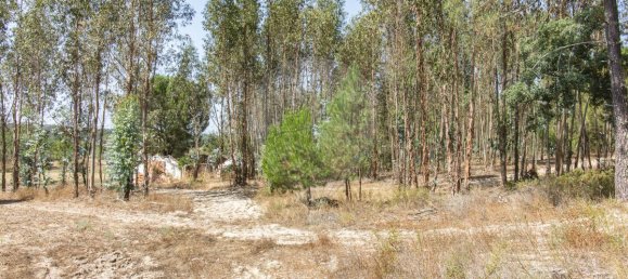 1 bedroom House in Coruche, Portugal No. 176818 17