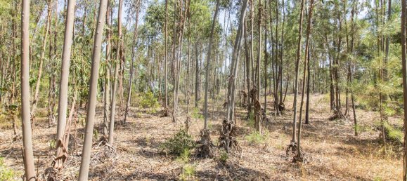 1 bedroom House in Coruche, Portugal No. 176818 9