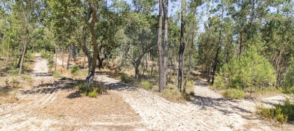 1 bedroom House in Coruche, Portugal No. 176818 13