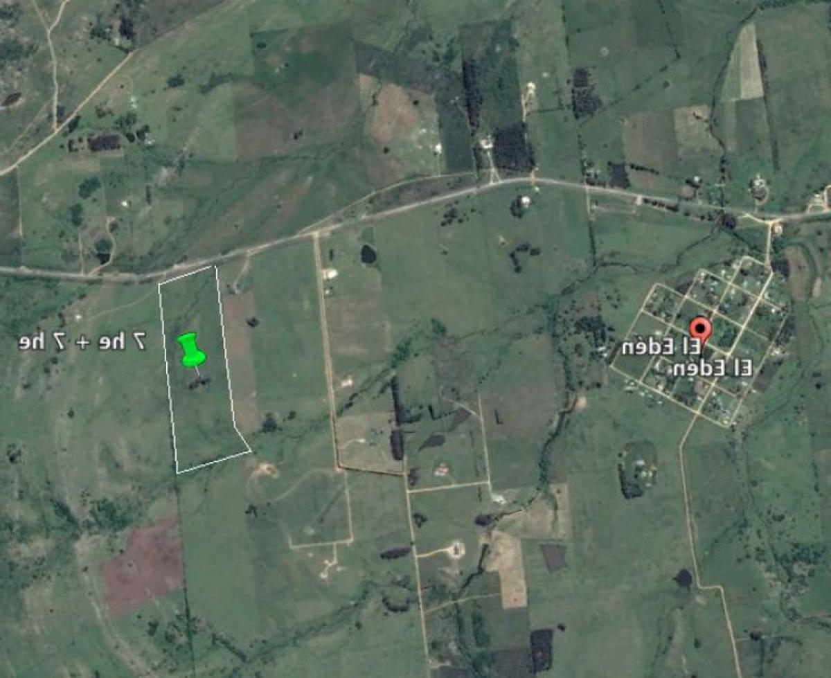  Farm in Maldonado, Uruguay No. 15437