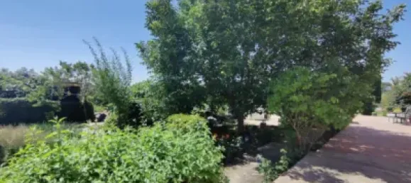 4 bedrooms House in El Molar, Spain No. 142905 37