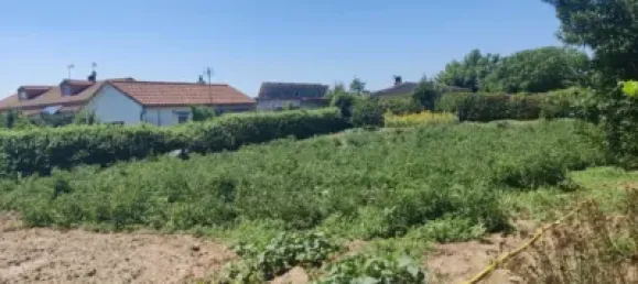 4 bedrooms House in El Molar, Spain No. 142905 9