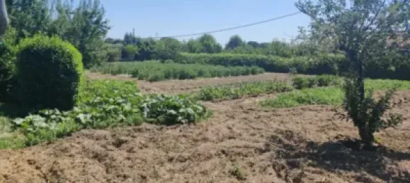 4 bedrooms House in El Molar, Spain No. 142905 4