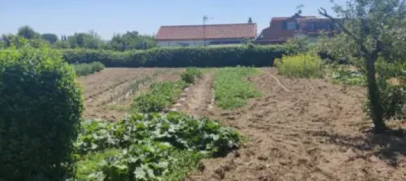 4 bedrooms House in El Molar, Spain No. 142905 7