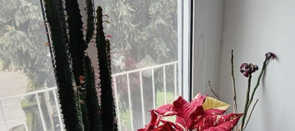 16 rooms Villa in Virle Piemonte, Italy No. 150695 46