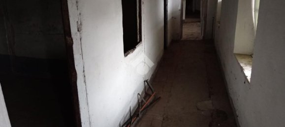 16 rooms Villa in Virle Piemonte, Italy No. 150695 3