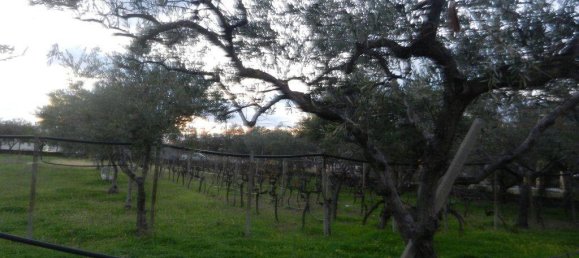 2800m² Land in Scalea, Italy No. 108093 3