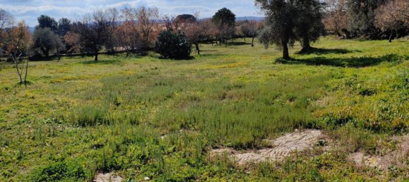 5000m² Land in Palazzolo Acreide, Italy No. 173121 2