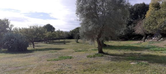 5000m² Land in Palazzolo Acreide, Italy No. 173121 25
