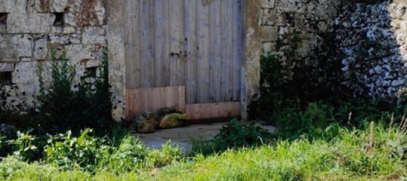 5000m² Land in Palazzolo Acreide, Italy No. 173121 12