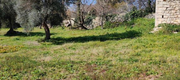 5000m² Land in Palazzolo Acreide, Italy No. 173121 5