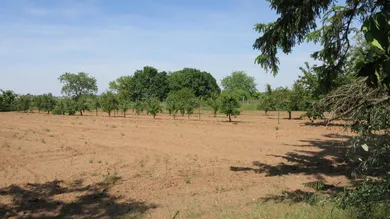 Grundstück in Marchegg, Austria, Nr. 164260