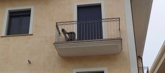 2غرفة شقة في Pescara, Italy رقم 177960 13