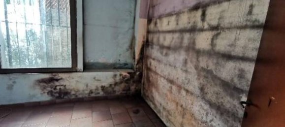 1 room Warehouse in Cremona, Italy No. 328422 7