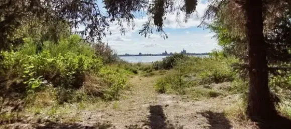 200m² Cafe / restaurant in Vorpommern-Rugen, Germany No. 366041 7