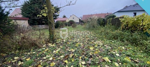 3 غرف نوم منزل في Bollwiller, France رقم 300509 5