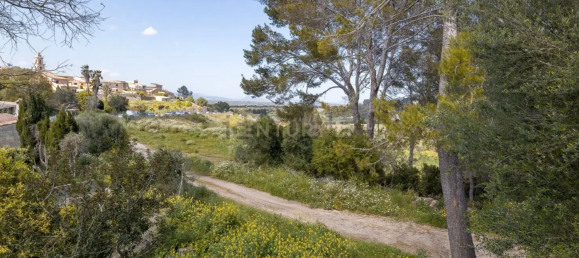 6 غرف نوم منزل في Mallorca, Spain رقم 142808 76