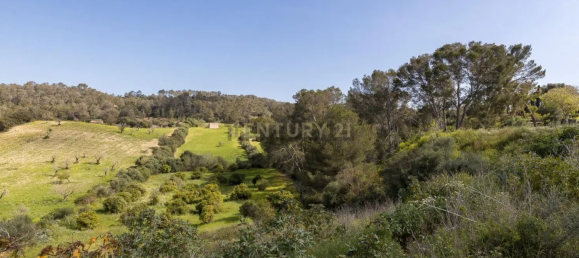 6 غرف نوم منزل في Mallorca, Spain رقم 142808 3