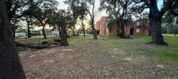 1 Schlafzimmer Wohnung in Lecci, France, Nr. 47376 6
