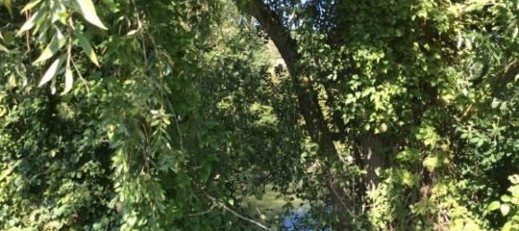 124369m² Land in Lugagnano Val d'Arda, Italy No. 29862 10