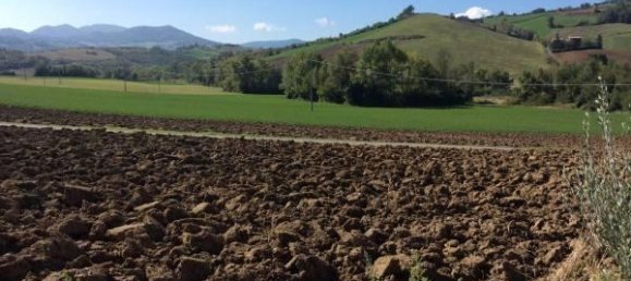 124369m² Land in Lugagnano Val d'Arda, Italy No. 29862 6