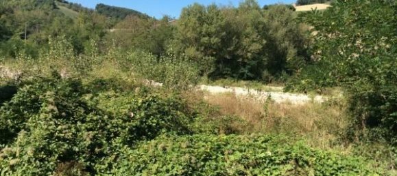 124369m² Land in Lugagnano Val d'Arda, Italy No. 29862 4