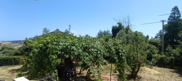 5 bedrooms Apartment in Ancona, Italy No. 314550 5