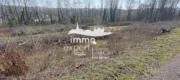 919m² Land in Poussay, France No. 76427 2