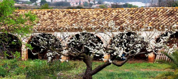 3 bedrooms Villa in Lliber, Spain No. 12994 23