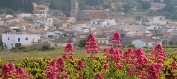 3 bedrooms Villa in Lliber, Spain No. 12994 17