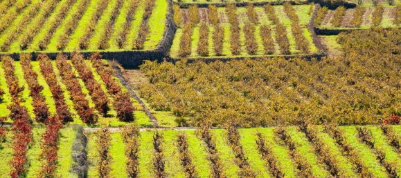 3 bedrooms Villa in Lliber, Spain No. 12994 25