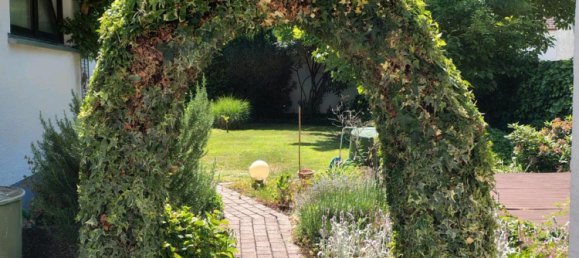 3 bedrooms House in Germersheim, Germany No. 237158 5