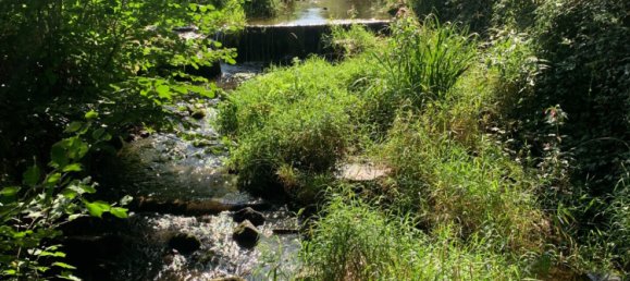 Casa de 1 dormitorio en Moosch, France No. 85689 14