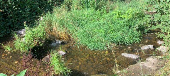 Casa de 1 dormitorio en Moosch, France No. 85689 13