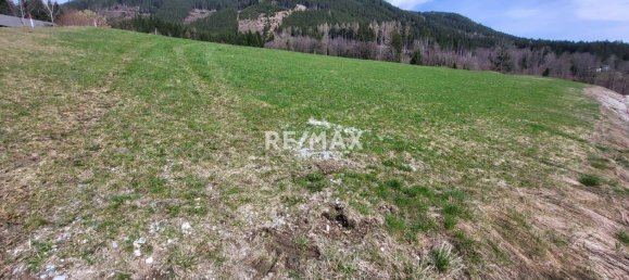 Земельный участок 762м² в Арднинг, Австрия № 33706 2