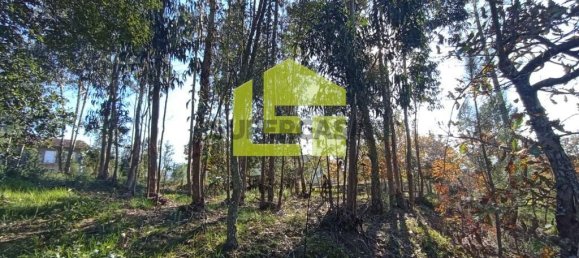 1285m² Land in Miranda do Corvo, Portugal No. 155839 12