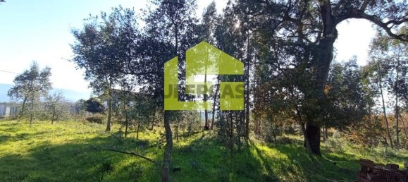 1285m² Land in Miranda do Corvo, Portugal No. 155839 13