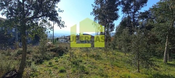 1285m² Land in Miranda do Corvo, Portugal No. 155839 16