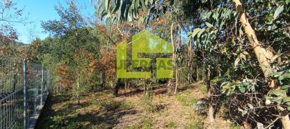 1285m² Land in Miranda do Corvo, Portugal No. 155839 7