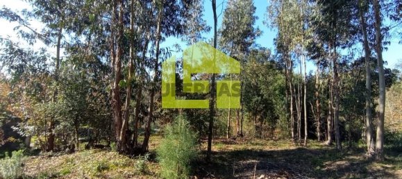 1285m² Land in Miranda do Corvo, Portugal No. 155839 10