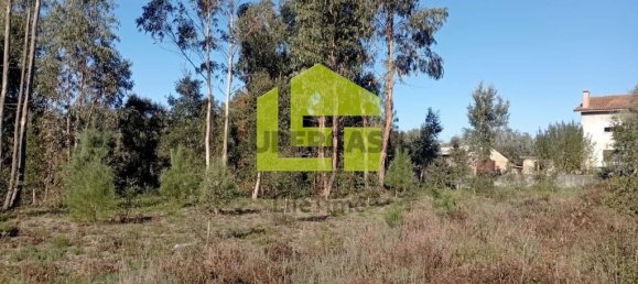 1285m² Land in Miranda do Corvo, Portugal No. 155839 18